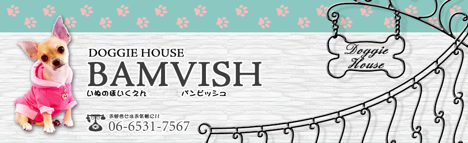 バンビッシュ|犬の保育園|トリミング